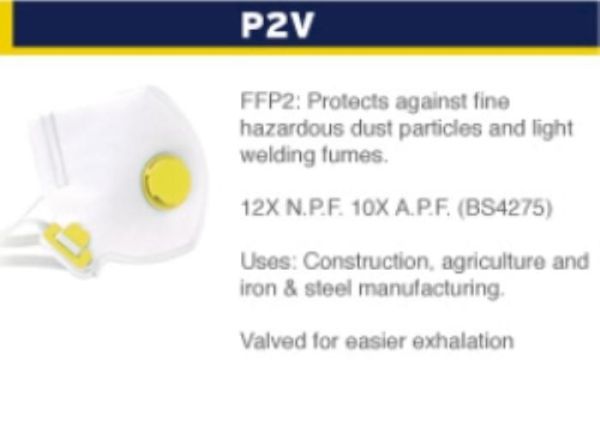 FFP2 X10 FOLD FLAT VALVED MASK REF.222
